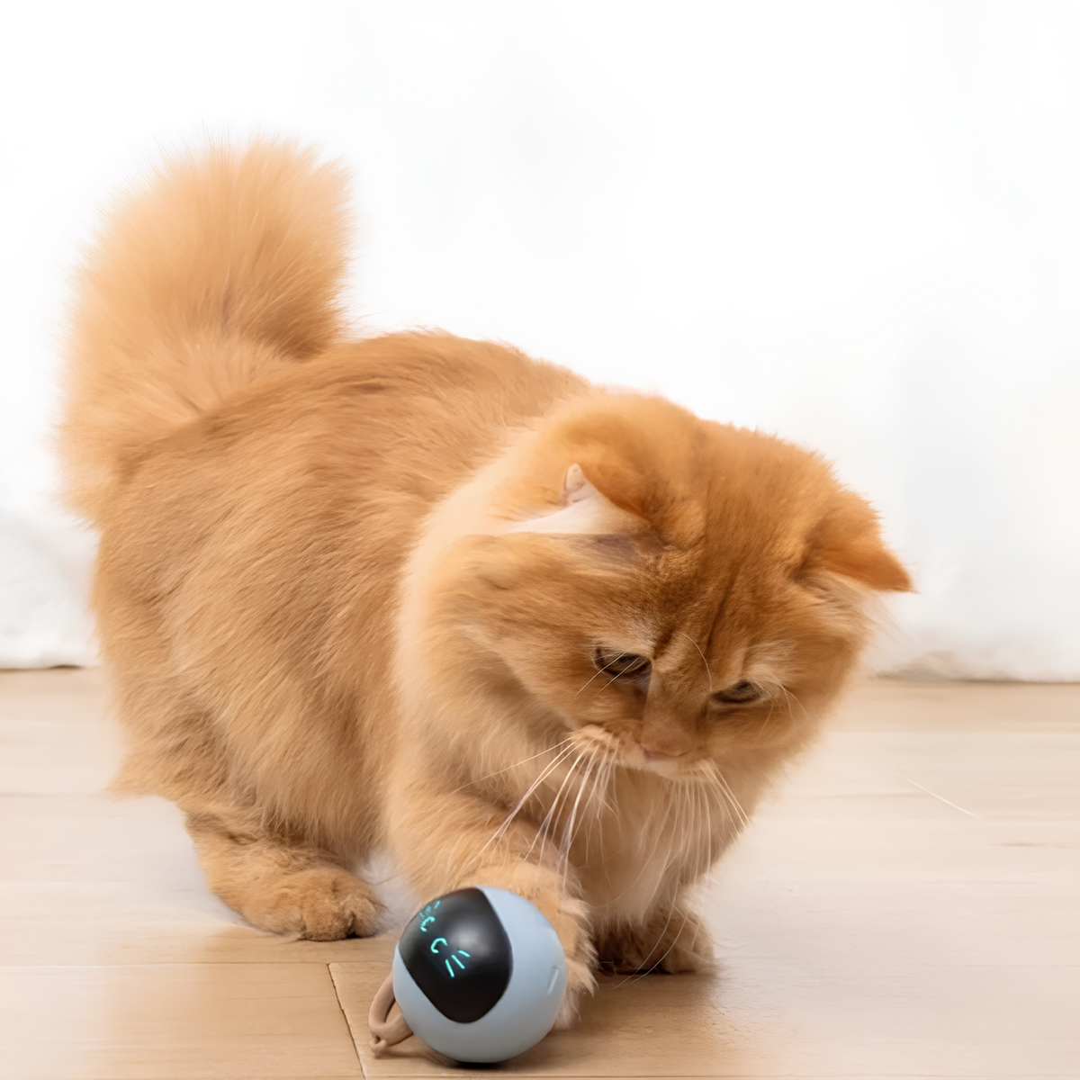 Smart Cat Toy